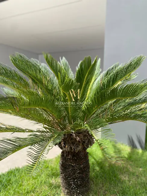 Foto 4 de Casa com 3 quartos à venda, 299m2 em Ibituruna, Montes Claros - MG