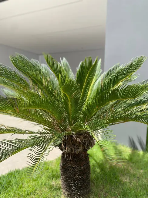 Foto 4 de Casa com 3 quartos à venda, 299m2 em Ibituruna, Montes Claros - MG