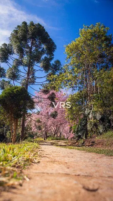 Terreno / Lote à venda, 300m2 em Albuquerque, Teresopolis - RJ - imagem 6 Foto 6 de Terreno / Lote à venda, 300m2 em Albuquerque, Teresopolis - RJ