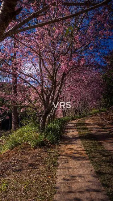Terreno / Lote à venda, 300m2 em Albuquerque, Teresopolis - RJ - imagem 3 Foto 3 de Terreno / Lote à venda, 300m2 em Albuquerque, Teresopolis - RJ