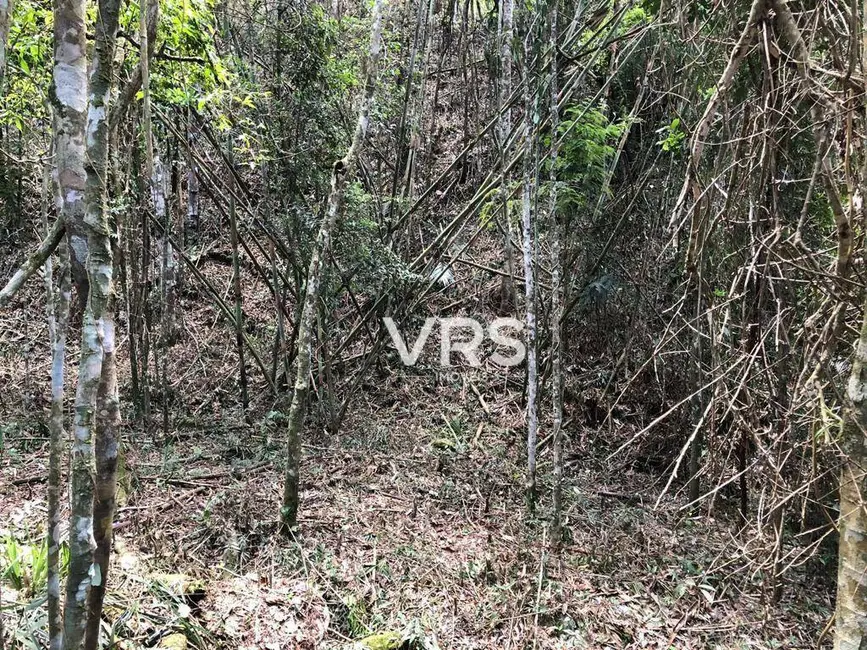 Foto 6 de Terreno / Lote à venda, 5135m2 em Albuquerque, Teresopolis - RJ