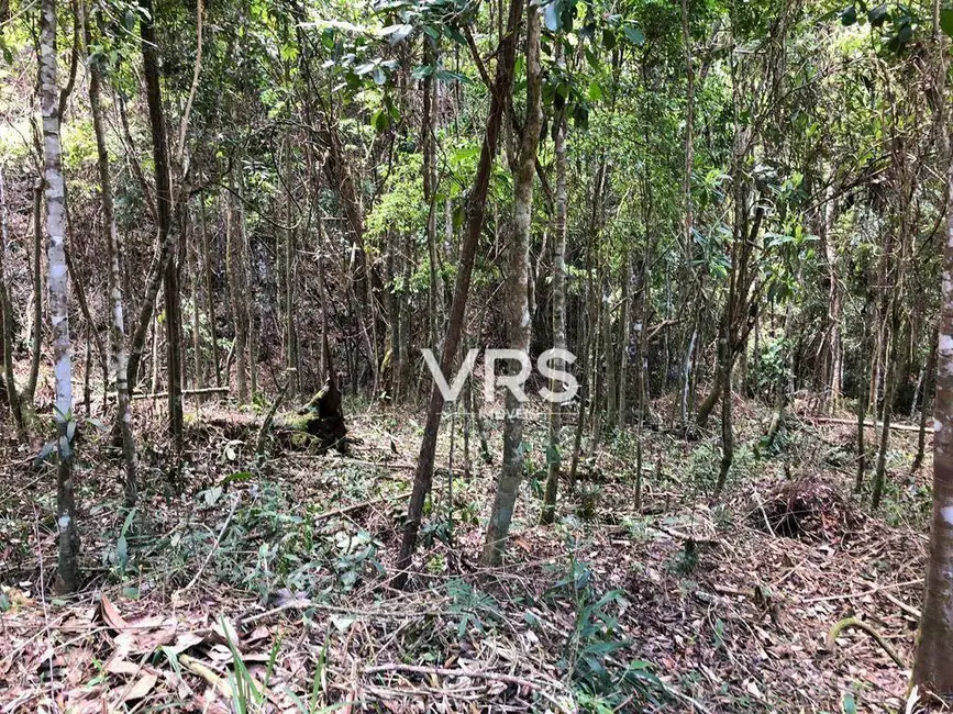 Foto 7 de Terreno / Lote à venda, 5135m2 em Albuquerque, Teresopolis - RJ