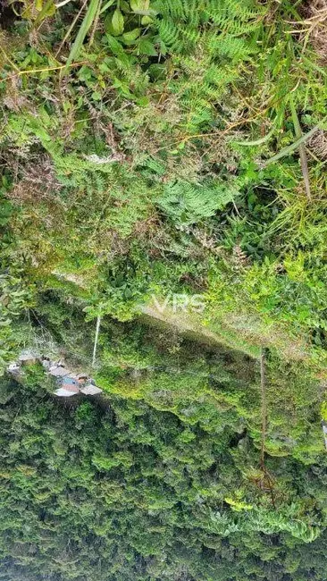Foto 3 de Terreno / Lote à venda, 855m2 em Albuquerque, Teresopolis - RJ