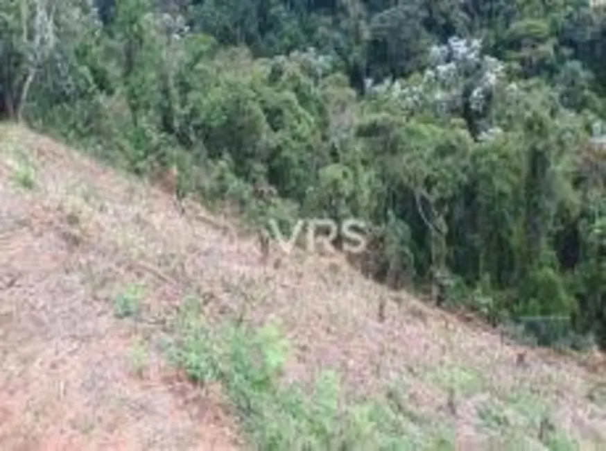 Foto 3 de Terreno / Lote à venda, 433m2 em Paineira, Teresopolis - RJ