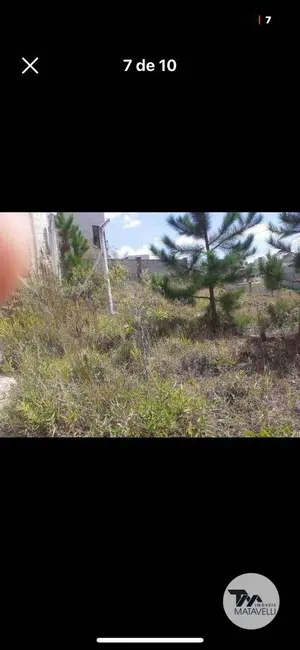 Terreno / Lote à venda, 300m2 em Parque San Carlo, Pocos De Caldas - MG - imagem 9 Foto 9 de Terreno / Lote à venda, 300m2 em Parque San Carlo, Pocos De Caldas - MG