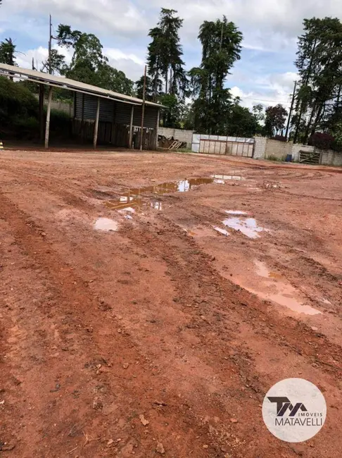 Chácara com 1 quarto à venda, 26000m2 em Pouso Alegre - MG - imagem 3 Foto 3 de Chácara com 1 quarto à venda, 26000m2 em Pouso Alegre - MG