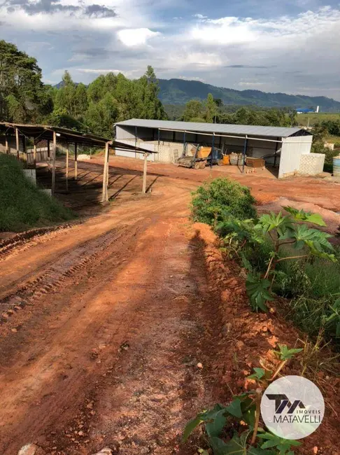 Chácara com 1 quarto à venda, 26000m2 em Pouso Alegre - MG - imagem 5 Foto 5 de Chácara com 1 quarto à venda, 26000m2 em Pouso Alegre - MG