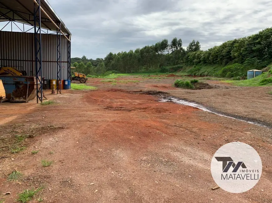 Chácara com 1 quarto à venda, 26000m2 em Pouso Alegre - MG - imagem 7 Foto 7 de Chácara com 1 quarto à venda, 26000m2 em Pouso Alegre - MG