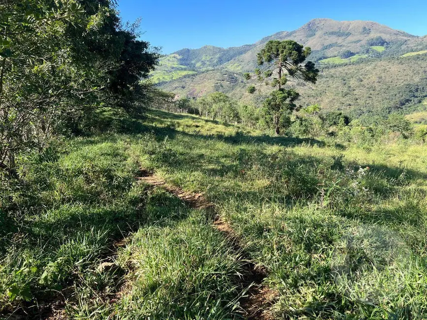 Foto 2 de Terreno / Lote à venda, 3200m2 em Caldas - MG