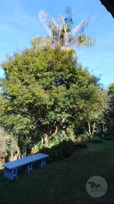 Chácara com 1 quarto à venda, 400m2 em Caldas - MG - imagem 5 Foto 5 de Chácara com 1 quarto à venda, 400m2 em Caldas - MG