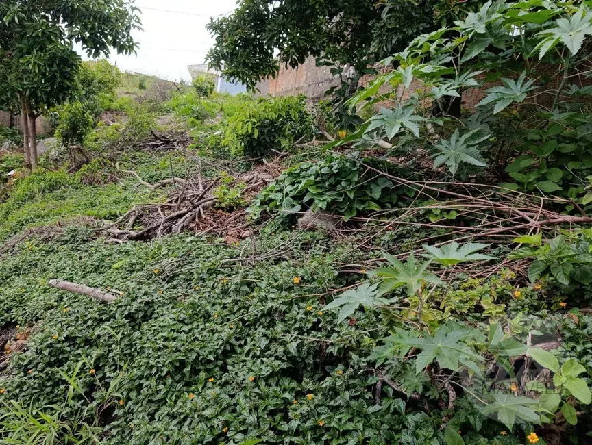 Foto 3 de Terreno / Lote à venda, 275m2 em Estância São José, Pocos De Caldas - MG