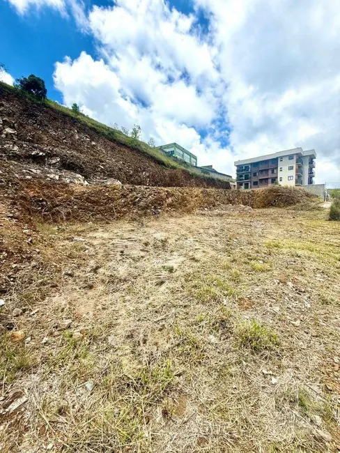 Terreno / Lote à venda, 450m2 em Jardim Europa, Pocos De Caldas - MG - imagem 3 Foto 3 de Terreno / Lote à venda, 450m2 em Jardim Europa, Pocos De Caldas - MG