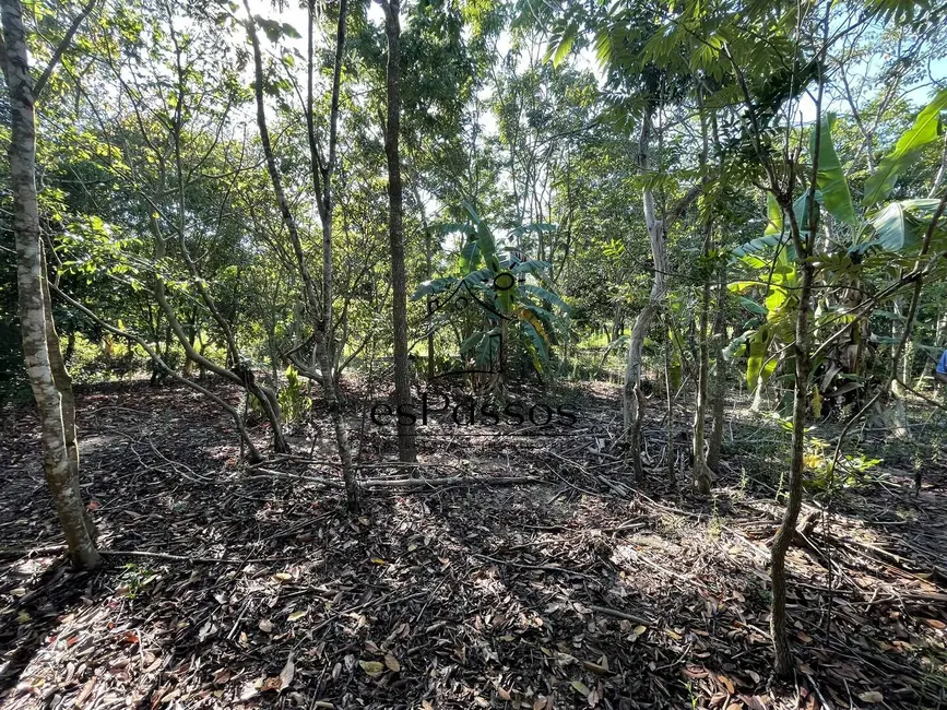 Chácara com 3 quartos à venda, 5000m2 em Florestal - MG - imagem 5 Foto 5 de Chácara com 3 quartos à venda, 5000m2 em Florestal - MG