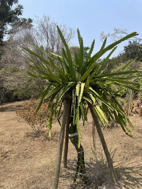 Foto 27 de Chácara à venda, 22000m2 em Charneca, Betim - MG