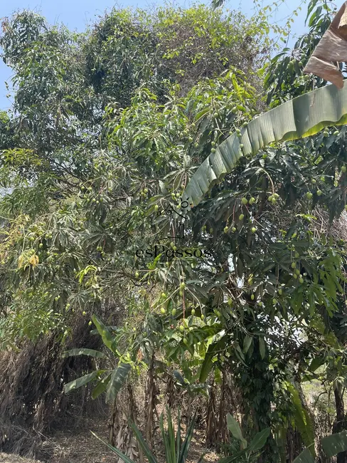 Foto 21 de Chácara à venda, 22000m2 em Charneca, Betim - MG