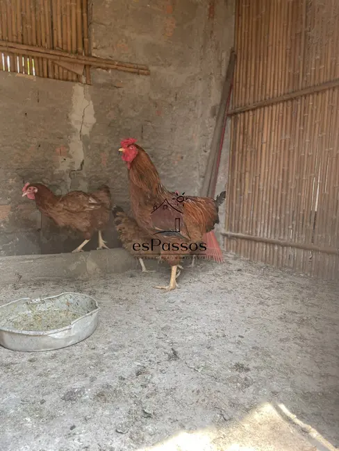 Foto 43 de Chácara à venda, 22000m2 em Charneca, Betim - MG