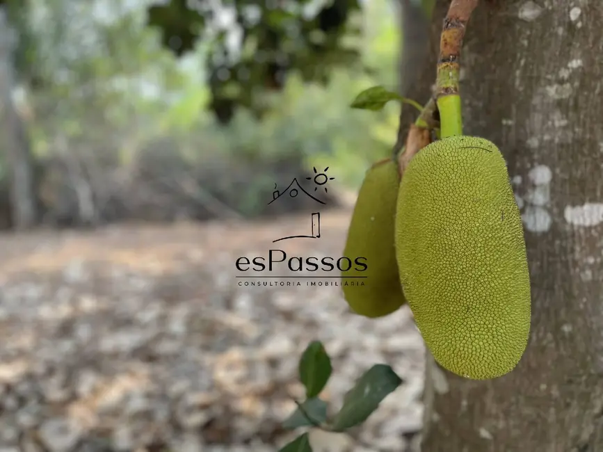 Foto 53 de Chácara à venda, 22000m2 em Charneca, Betim - MG