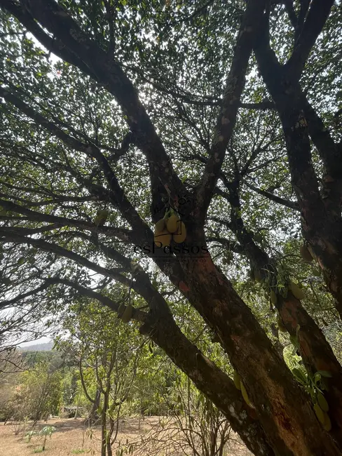 Foto 39 de Chácara à venda, 22000m2 em Charneca, Betim - MG