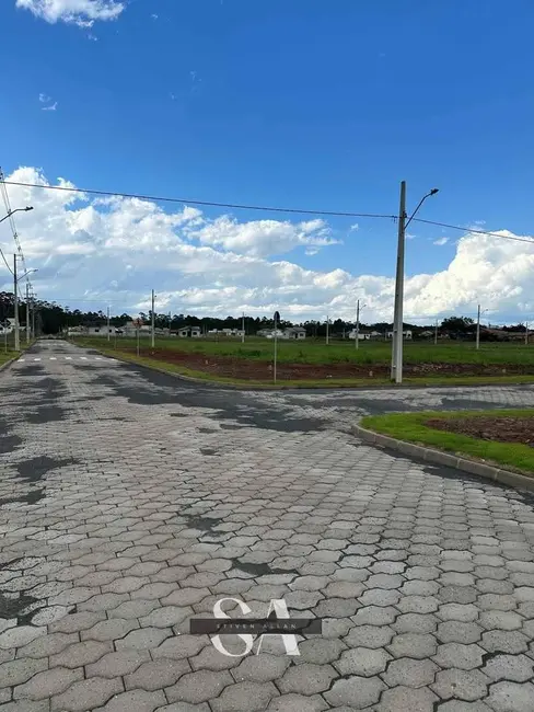 Foto 2 de Terreno / Lote à venda, 266m2 em Vila Nova Esperança, Criciuma - SC