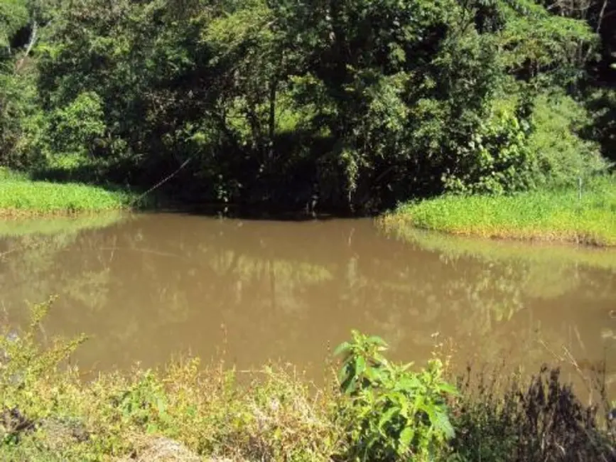 Foto 7 de Sítio / Rancho com 4 quartos à venda, 48000m2 em Centro, Sao Francisco Xavier - SP