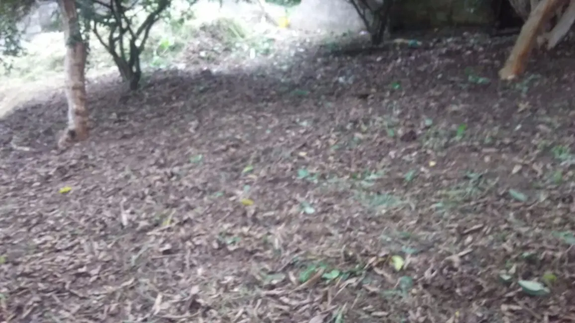 Foto 3 de Terreno / Lote à venda, 840m2 em Sao Jose Dos Campos - SP