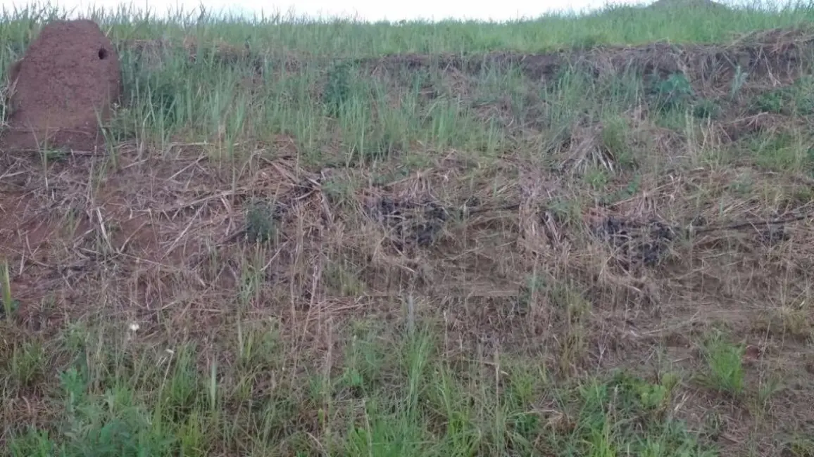 Foto 1 de Terreno / Lote à venda, 1185m2 em Sao Jose Dos Campos - SP