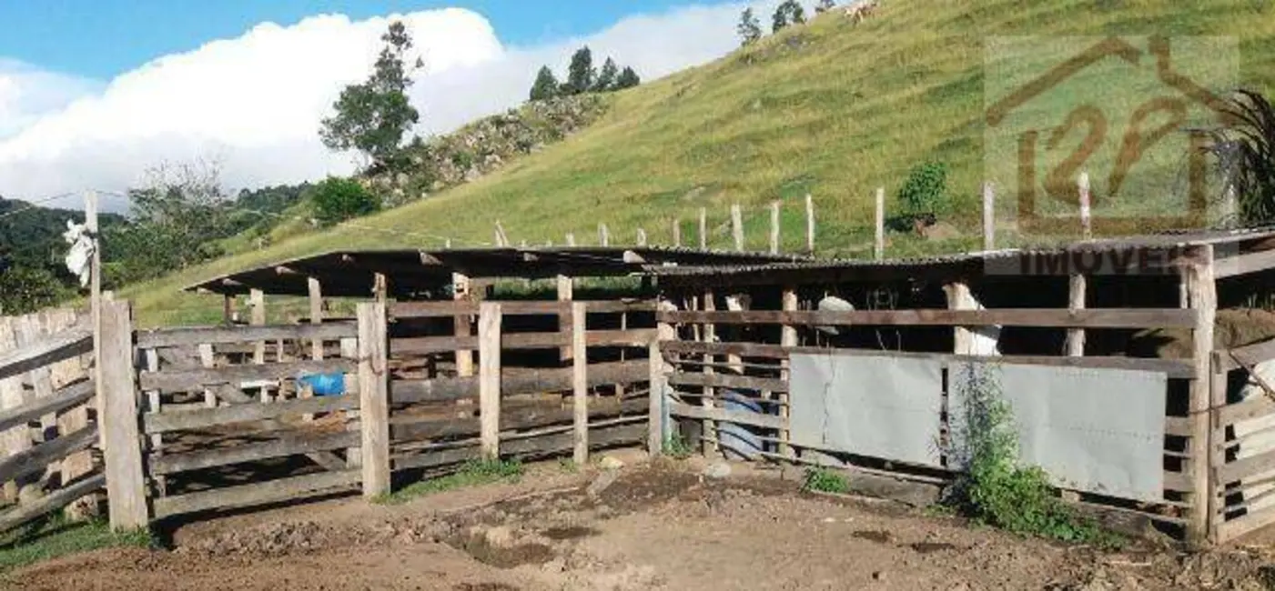 Foto 4 de Fazenda / Haras à venda, 479160m2 em Sao Luiz Do Paraitinga - SP