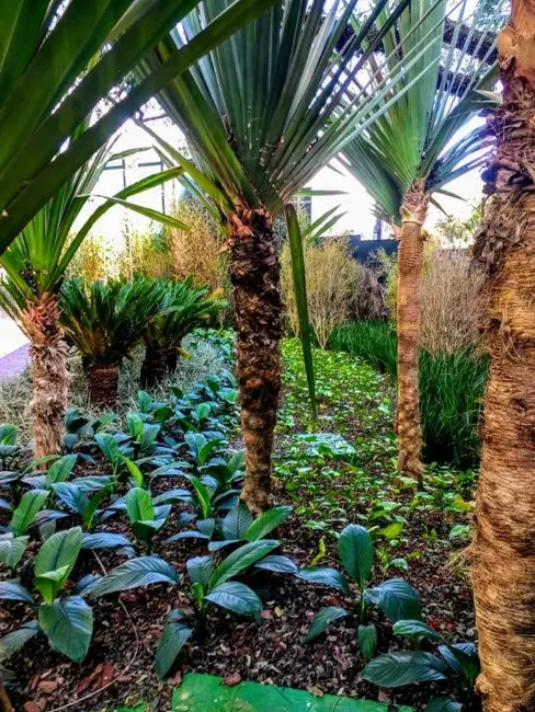 Apartamento com 4 quartos à venda, 455m2 em Vila Mariana, São Paulo - SP - imagem 9 Foto 9 de Apartamento com 4 quartos à venda, 455m2 em Vila Mariana, São Paulo - SP