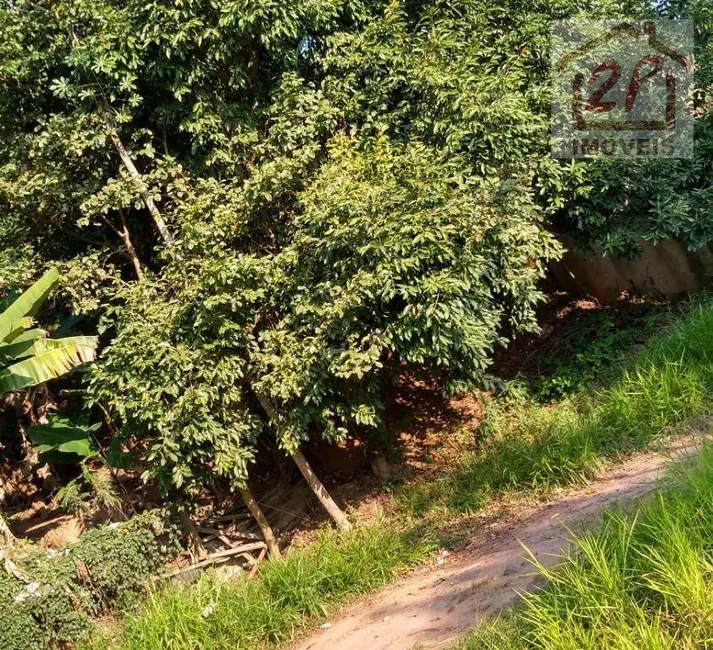 Foto 8 de Chácara com 6 quartos à venda, 2300m2 em Sao Jose Dos Campos - SP