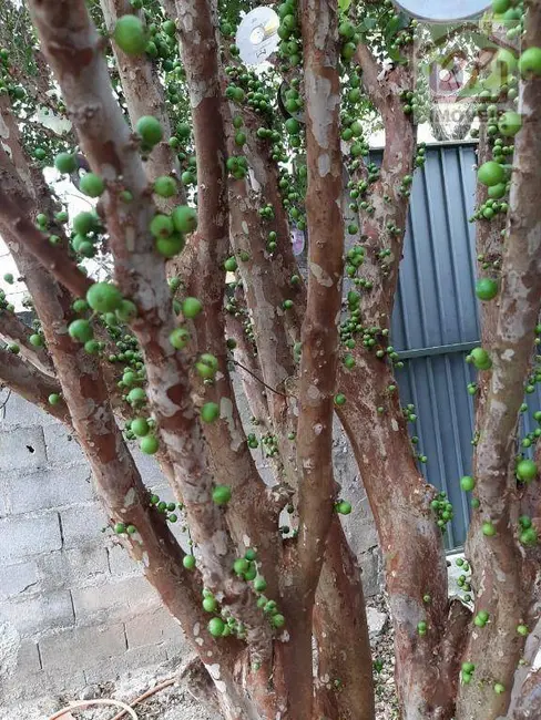 Foto 3 de Chácara com 2 quartos à venda, 1300m2 em Sao Jose Dos Campos - SP