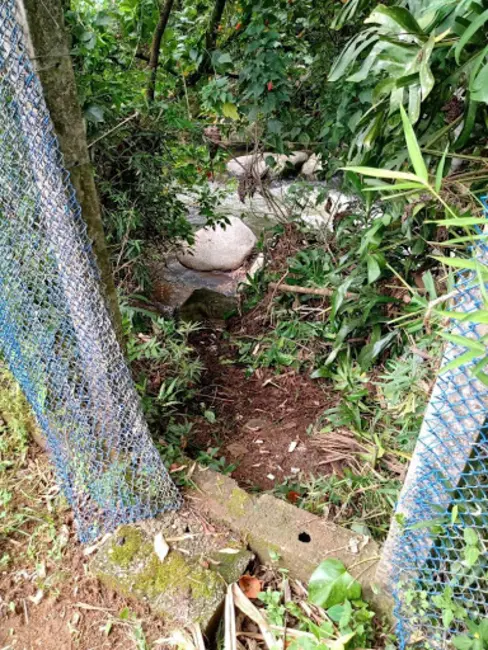 Foto 4 de Casa com 2 quartos à venda, 300m2 em Sao Jose Dos Campos - SP