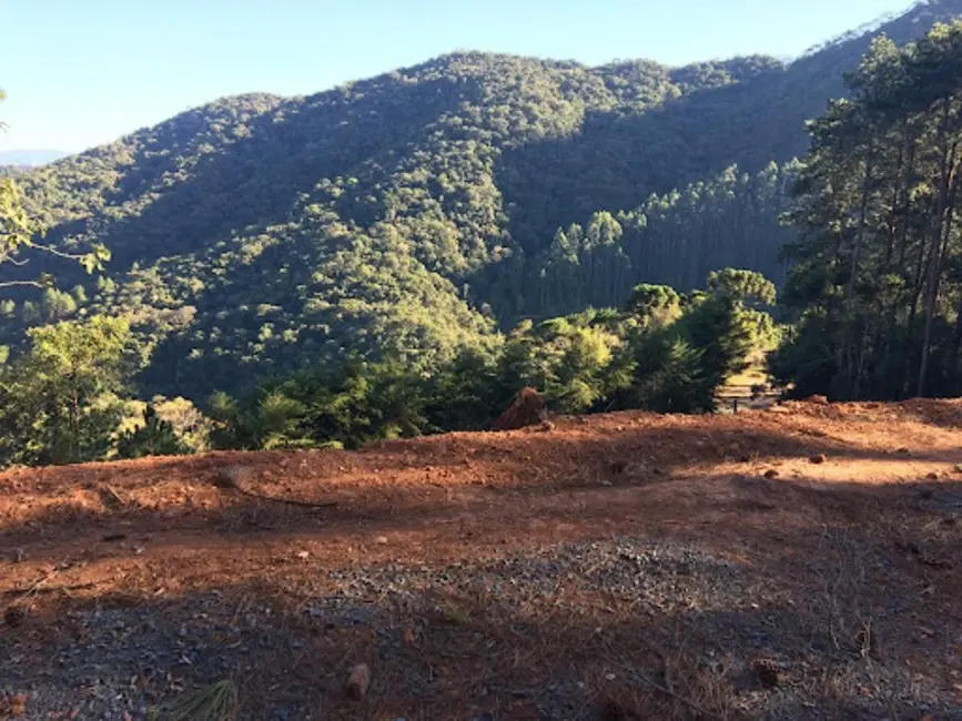 Foto 5 de Terreno / Lote à venda, 1767m2 em Santo Antonio Do Pinhal - SP
