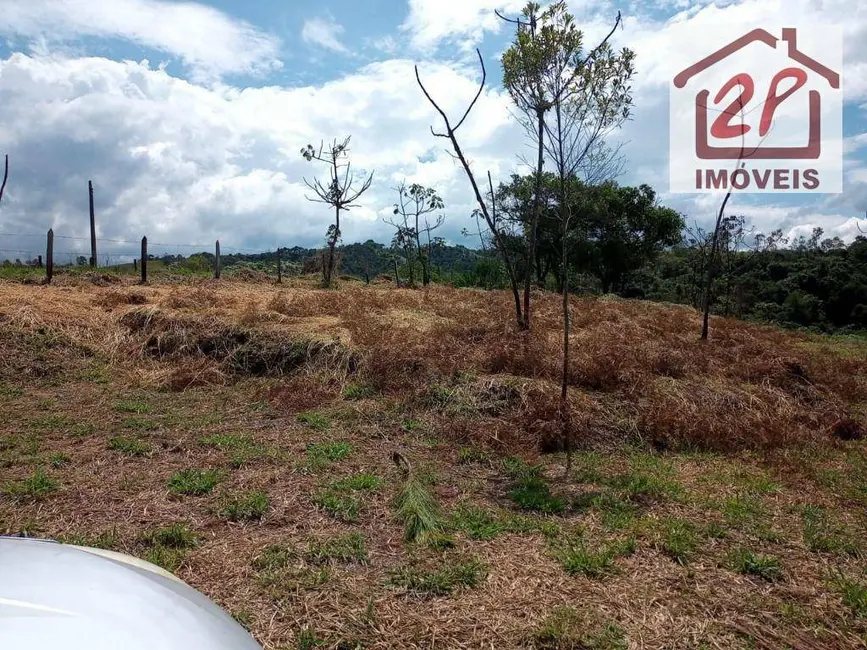 Foto 2 de Terreno / Lote à venda, 10000m2 em Monteiro Lobato - SP