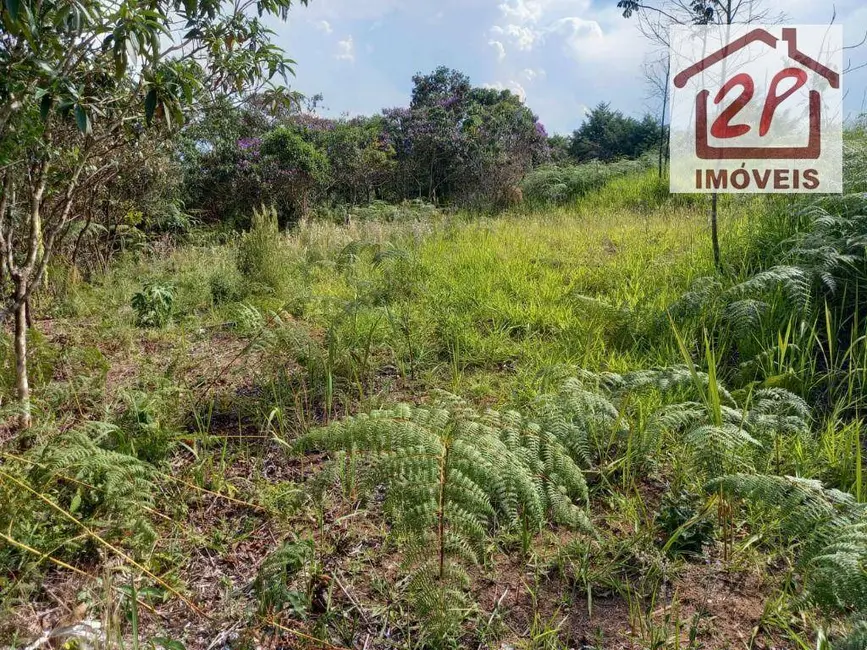 Foto 3 de Terreno / Lote à venda, 10000m2 em Monteiro Lobato - SP