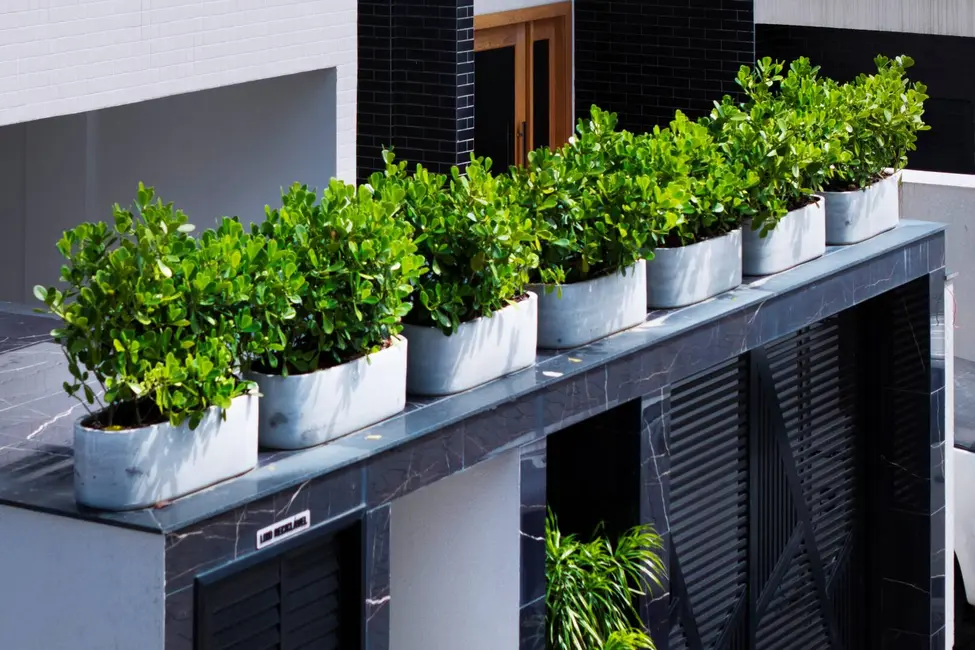 Foto 7 de Cobertura com 2 quartos à venda, 97m2 em Bombinhas - SC