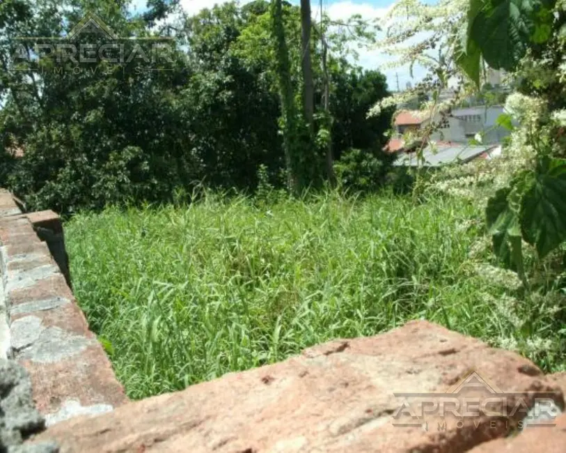 Foto 4 de Terreno / Lote à venda, 720m2 em Vila Granada, São Paulo - SP