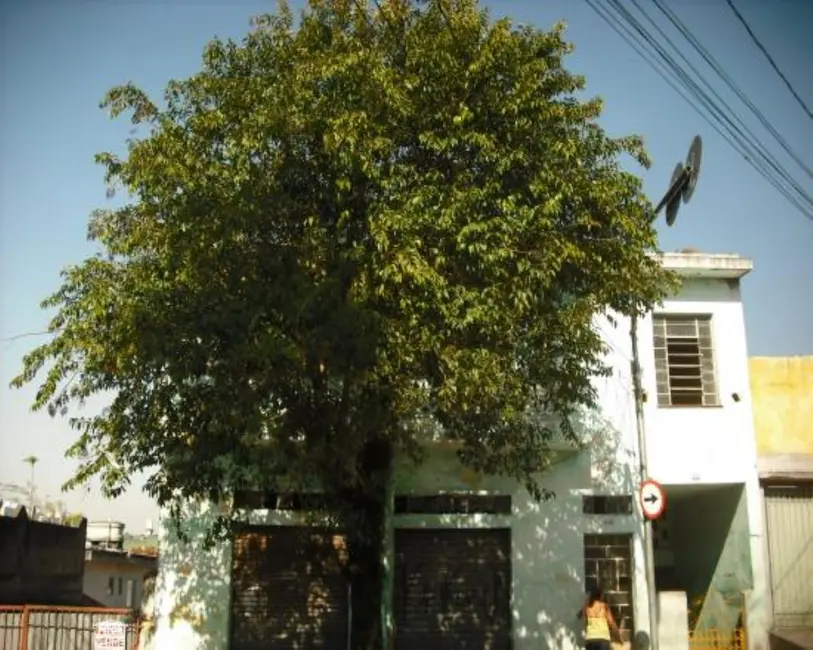 Foto 2 de Terreno / Lote à venda, 500m2 em Vila Ré, São Paulo - SP