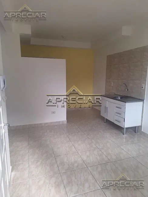 Foto 7 de Apartamento com 2 quartos para alugar, 30m2 em Vila Santa Teresa (Zona Leste), São Paulo - SP