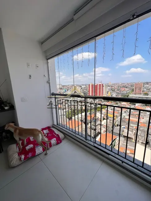 Foto 5 de Apartamento com 3 quartos à venda, 72m2 em Vila Penteado, São Paulo - SP